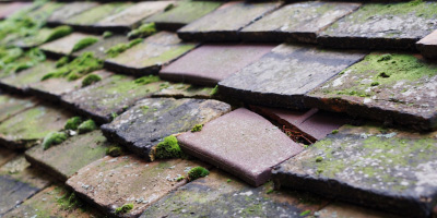Kingston Near Lewes roof repair costs